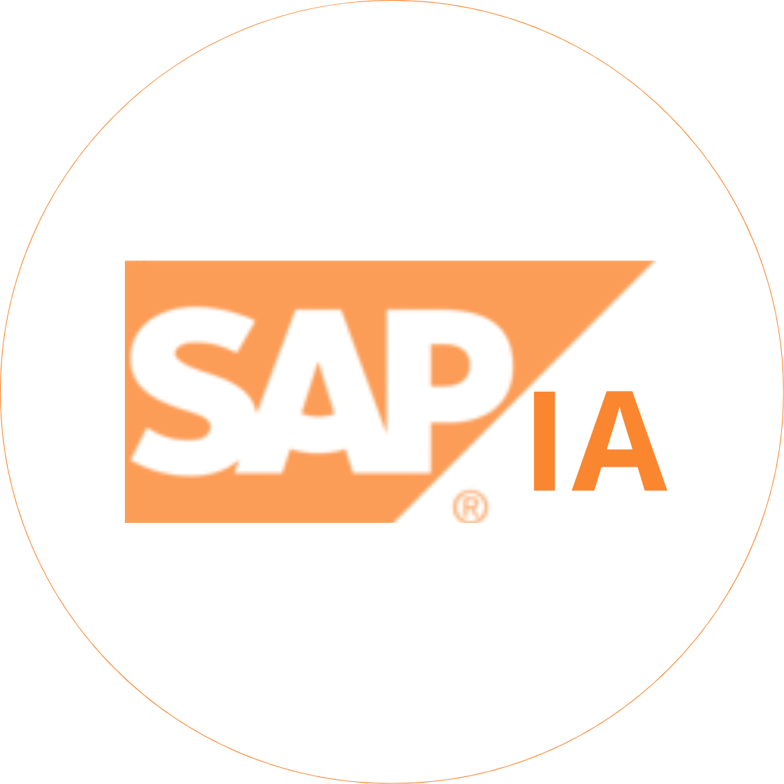 ConsultoríA SAP